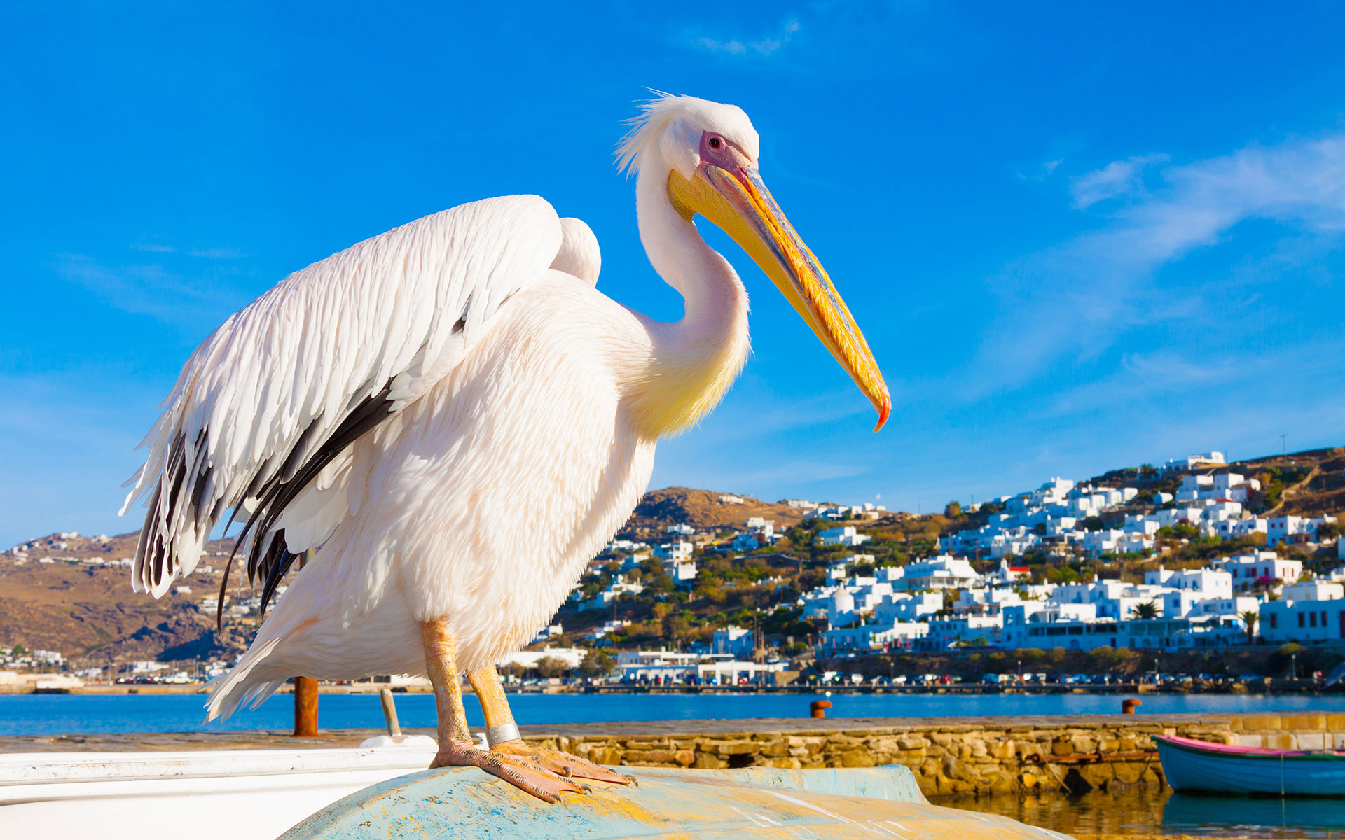 01_elia_beach_attractions